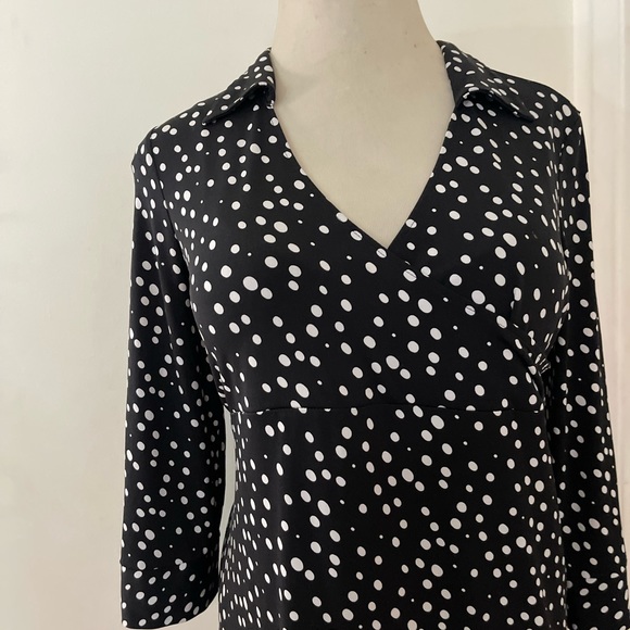 Liz Lange Black White Polka Dot Collared V-Neck Breastfeeding Friendly Dress - Picture 3 of 6